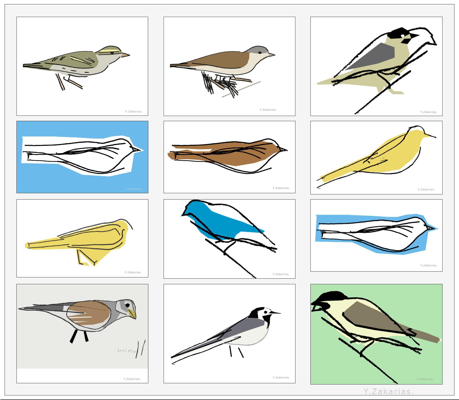 Collection of bird drawings in freehand lines and colored contours